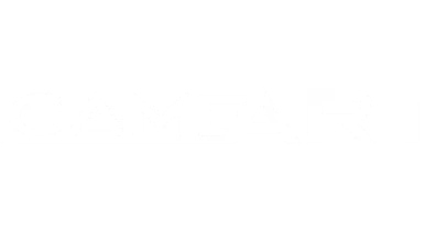 partners who work with AAgame